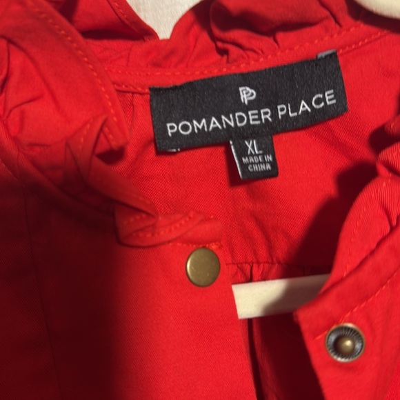 Pomander Place Red Claiborne dress - Picture 5 of 5